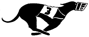 Descriptive Image Alt Text